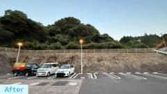 imari-handyman-eco-fujita-large-scale-grass-cutting-and-felling-before