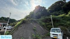 imari-handyman-eco-fujita-large-scale-grass-cutting-and-felling-before (2)